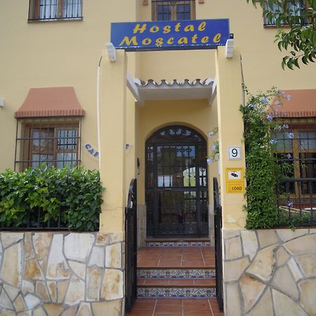 Hostal Moscatel Málaga Dış mekan fotoğraf